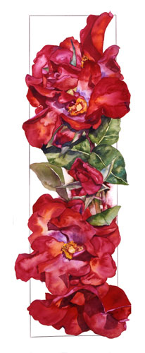 Watercolor of Altissimo Rose