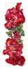 Watercolor of Altissimo Rose