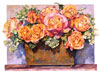 The Edwardian Lady Rose