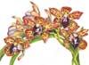 Cymbidium Sleeping Dawn