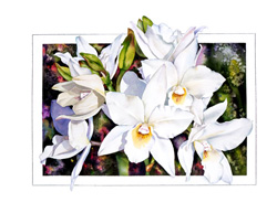 Dialaelia Snowflake orchid print