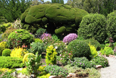 Sally Robertson's garden