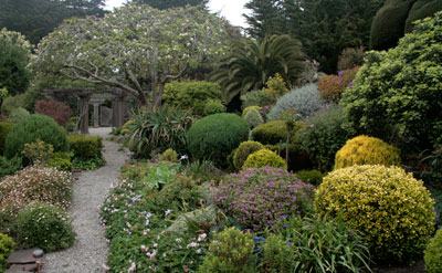 Bolinas Bed & Breakfast entry path