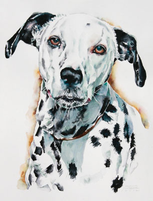 Dalmlation pet portrait in watercolor