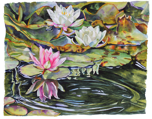 Watercolor by Sally Robertson of Nympheas