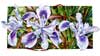 Pacific Coast Iris watercolor