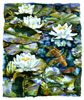 Water Lillies and Koi