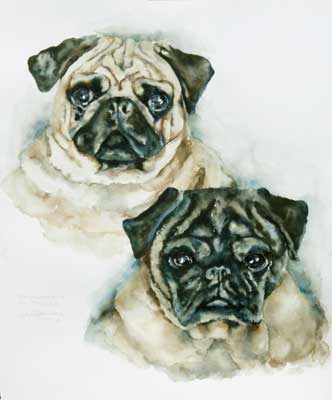 Watercolor of Pug dogs