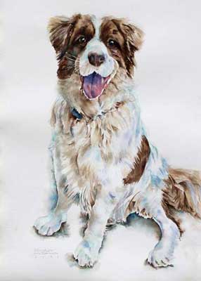 Woodrow watercolor by Sally Robertson