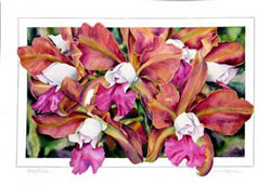 LC ausermann's Sultan orchid print