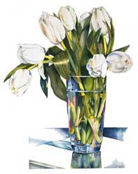 Sally Robertson botanicalk print of White Tulip Still Life