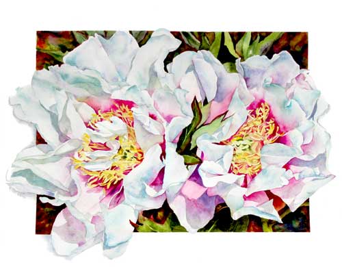 Itoh Peony ora Louise watercolor by Sally Robertson
