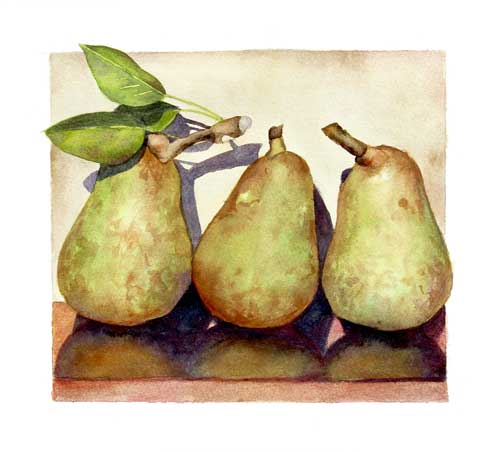 Three Pears watercolor by Sally Robertson