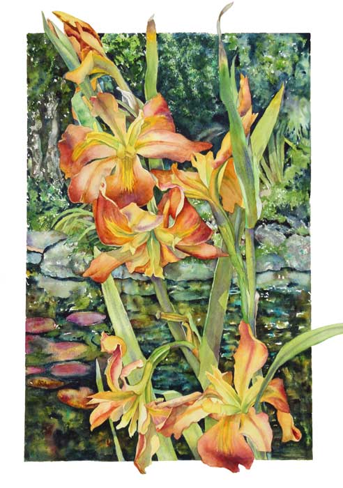 Sally Robertson watercolor of Louisiana Iris