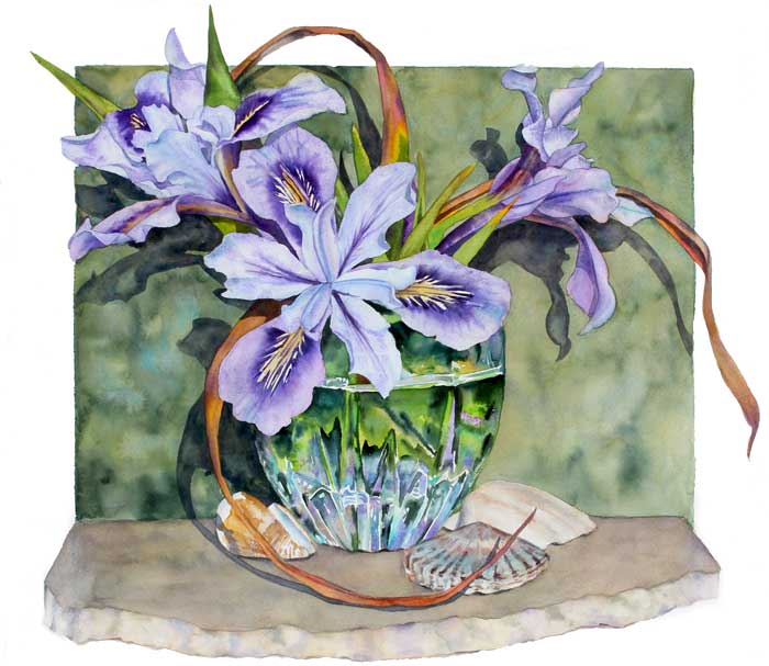 Wild Iris & Sea Shells watercolor by Sally Robertson