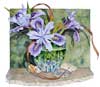 Wild Iris & Sea SHells watercolor by Sally Robertson